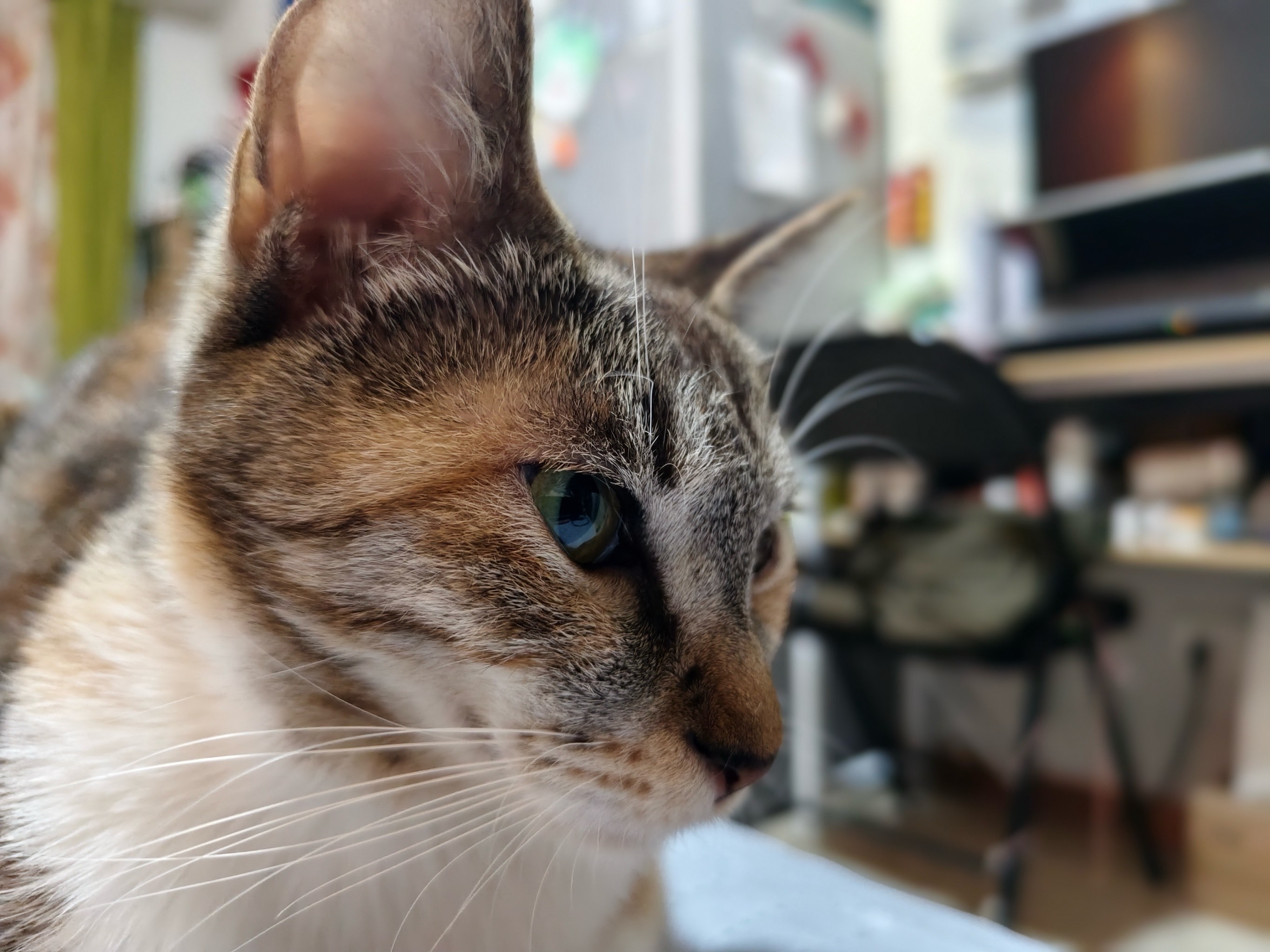 墣泌/絺?=鄃 墣泌/絺?=鄃